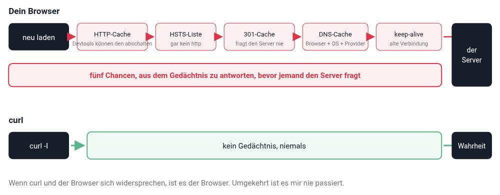 Fünf Cache-Schichten zwischen deinem Tastendruck und der echten Antwort des Servers Fünf Cache-Schichten zwischen deinem Tastendruck und der echten Antwort des Servers