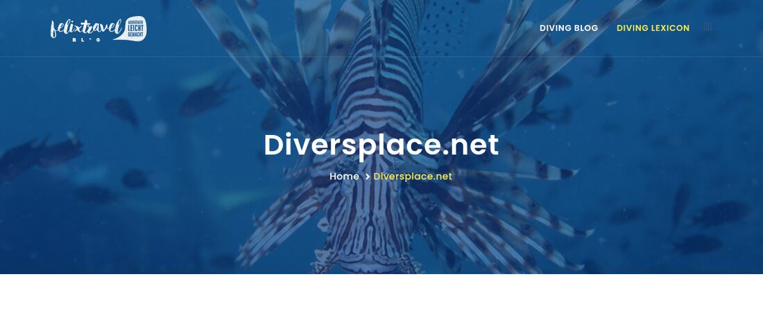 Diversplace.net diving blog and diving lexicon landing page